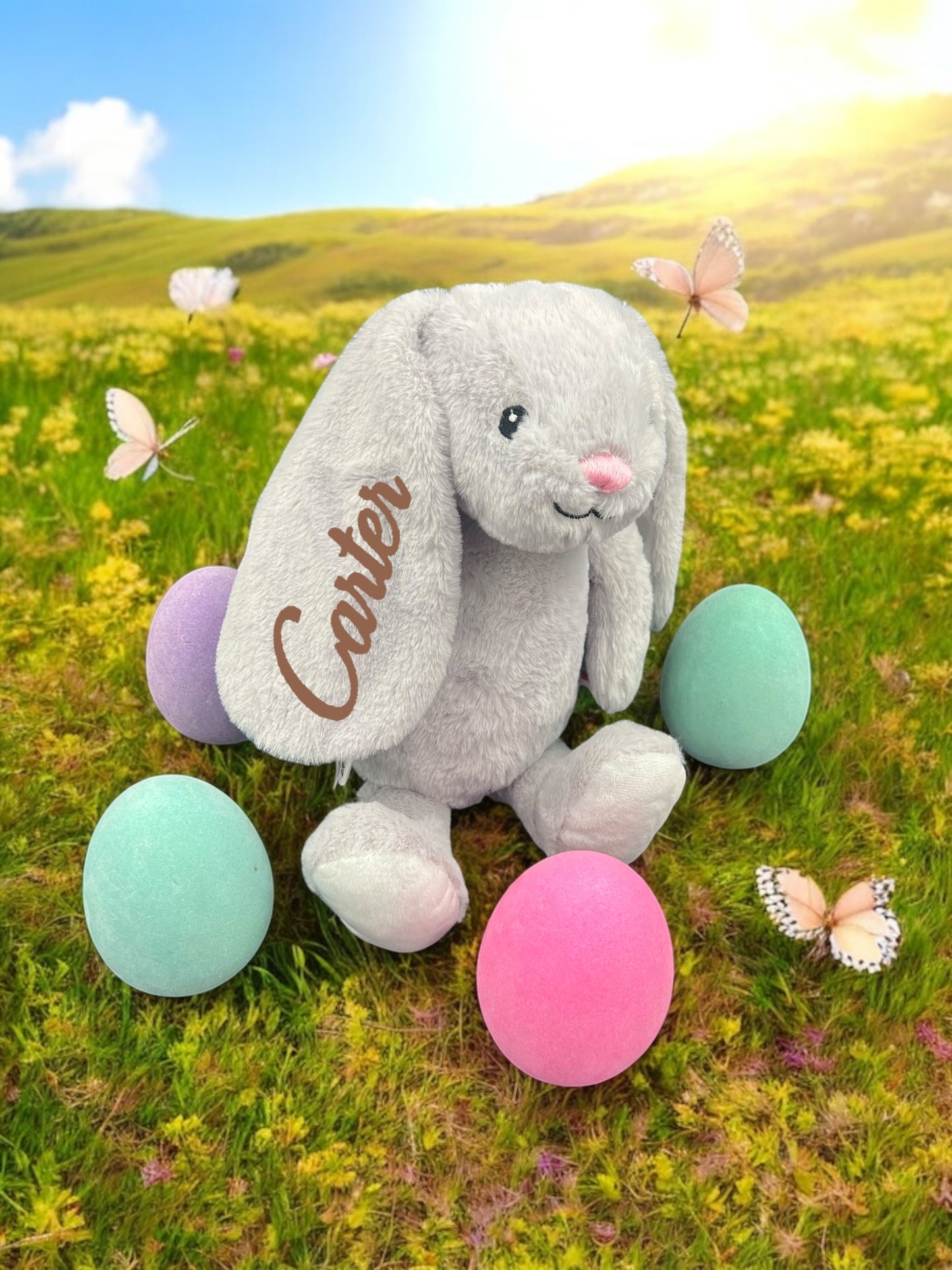 Gray Bunny